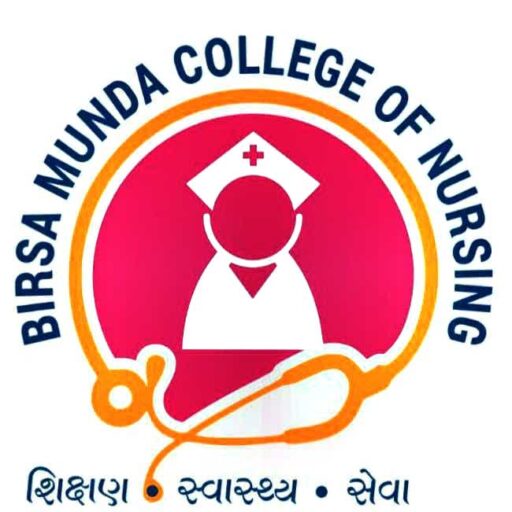 BIRSAMUNDA COLLEGE